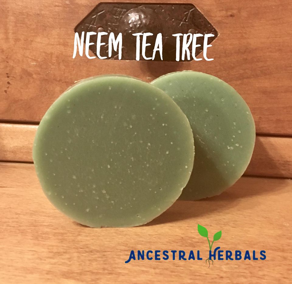 Neem Tea Tree