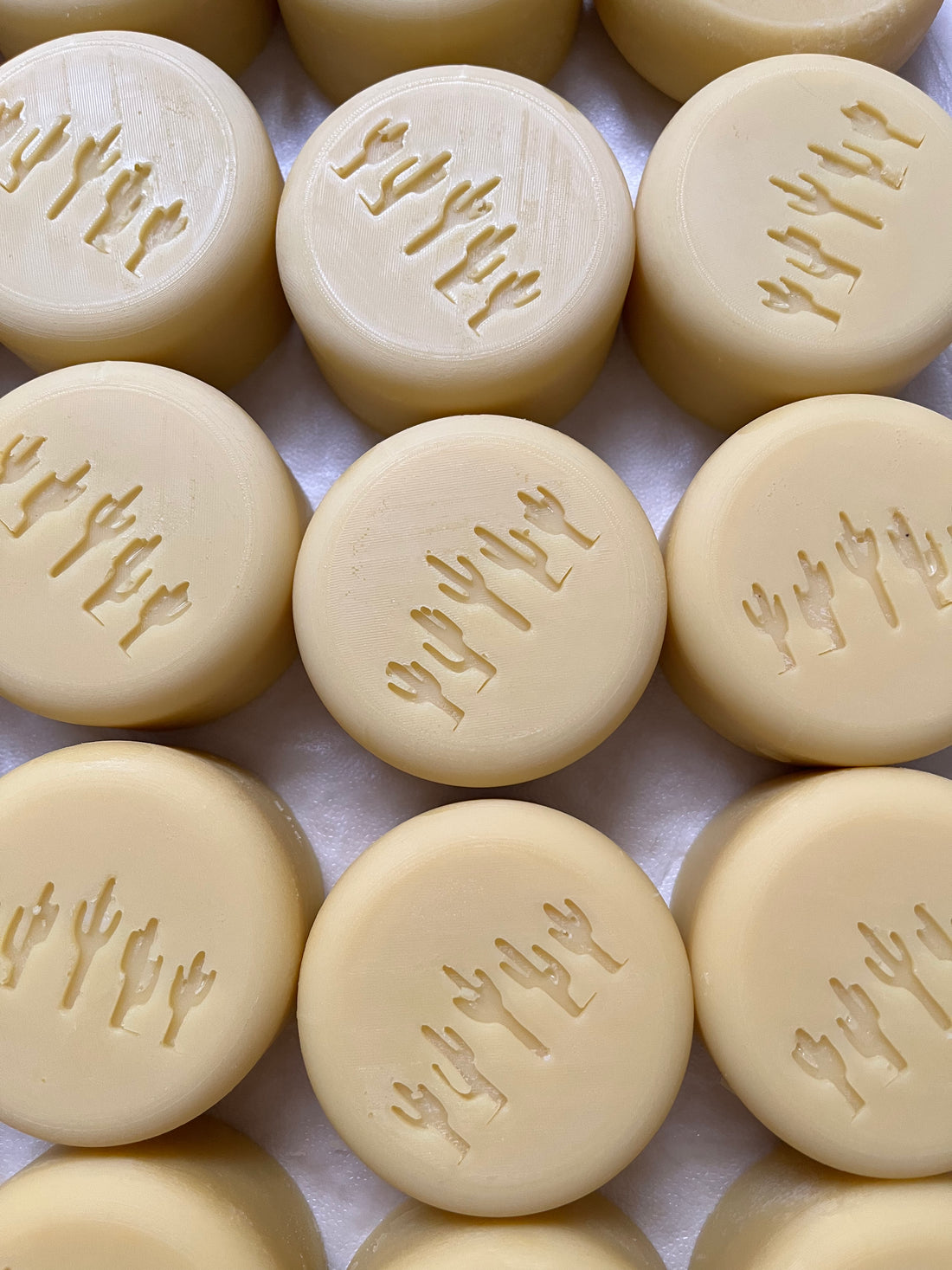 Tallow Lotion Bars