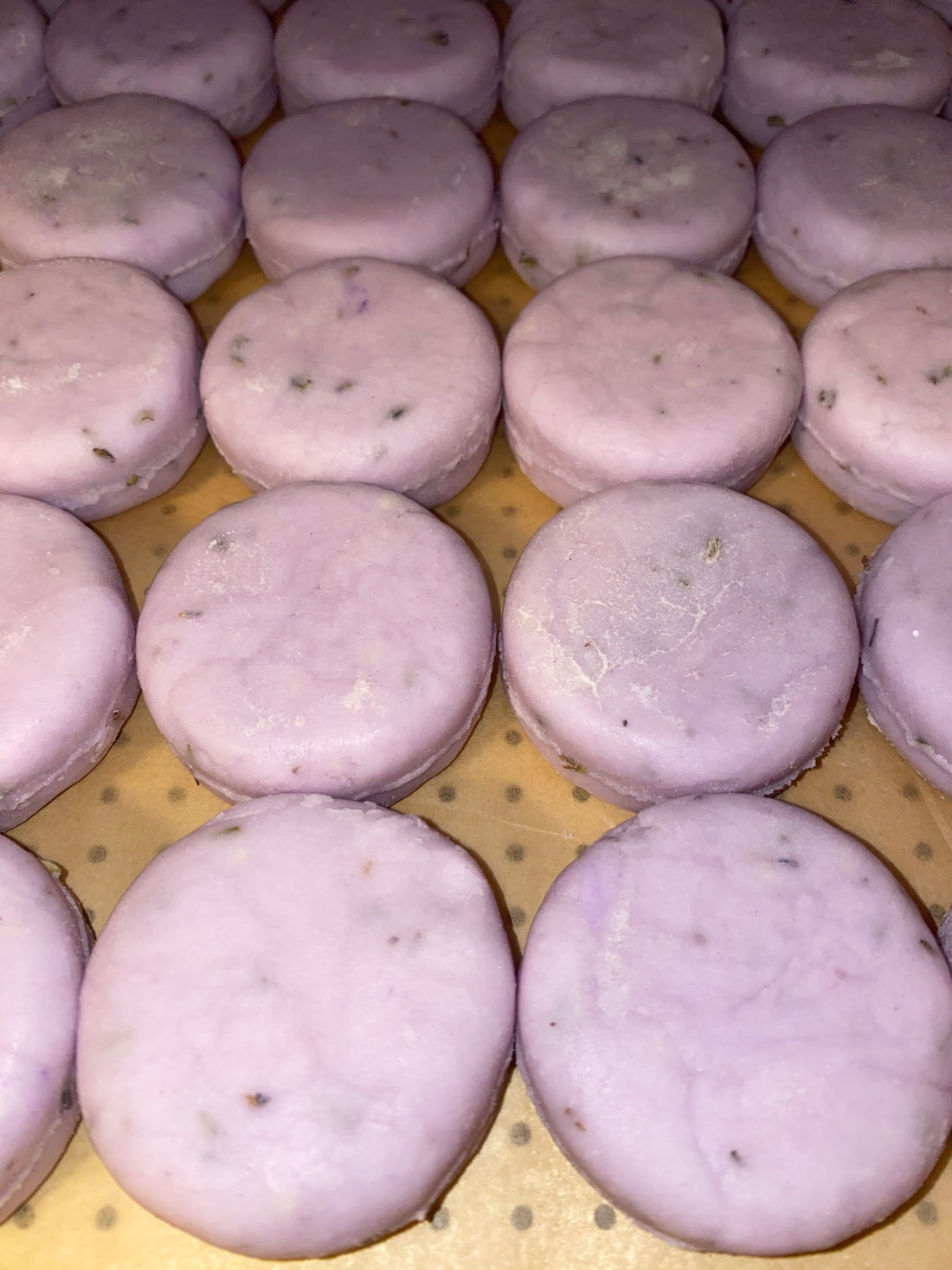 Shampoo & Conditioner Bars