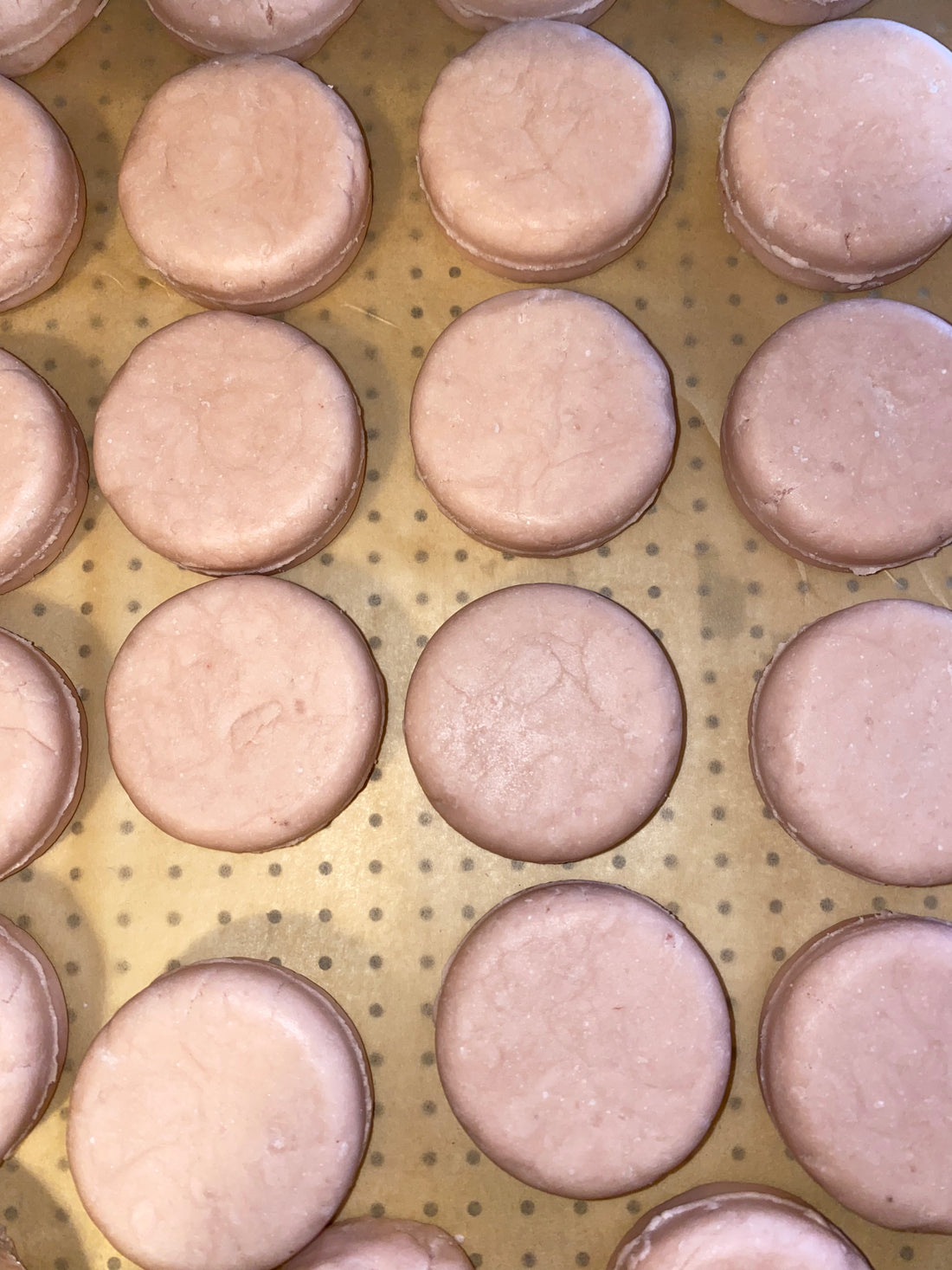 Shampoo & Conditioner Bars