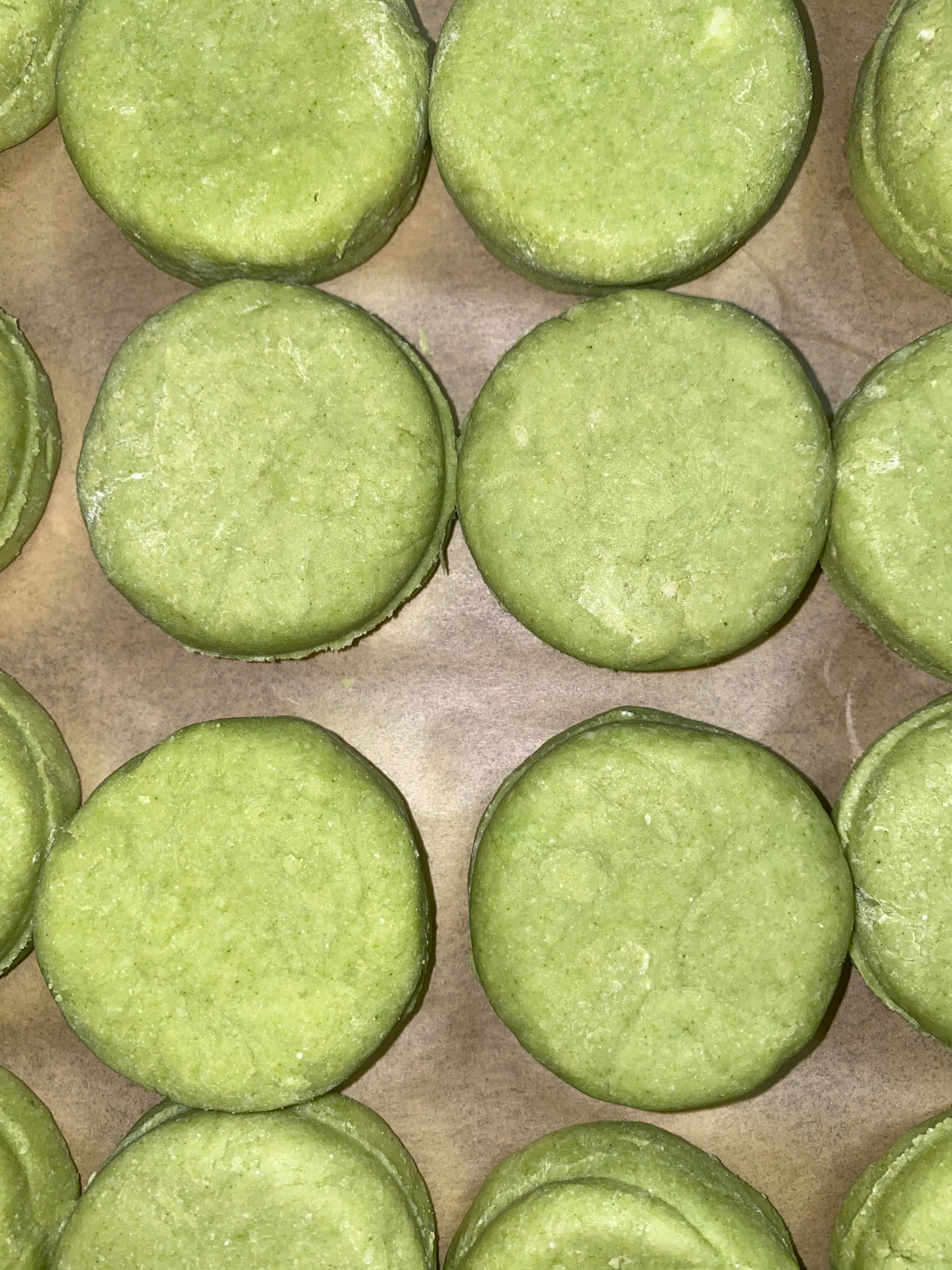 Shampoo & Conditioner Bars